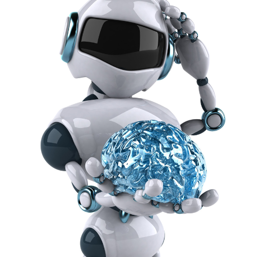 Local Business Profile Optimizer